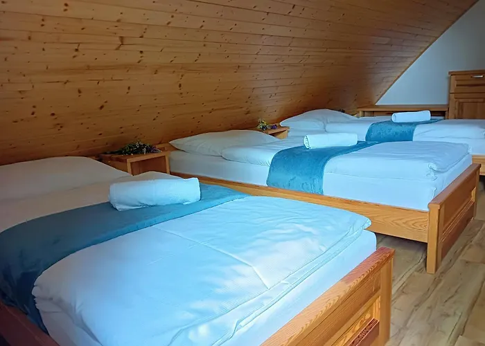 Pod Javory 3* Nejdek
